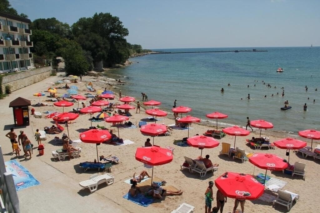 Фотография Oasis_balchik 3*