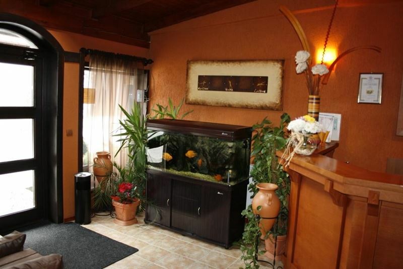 Elida Bansko 3* суреті