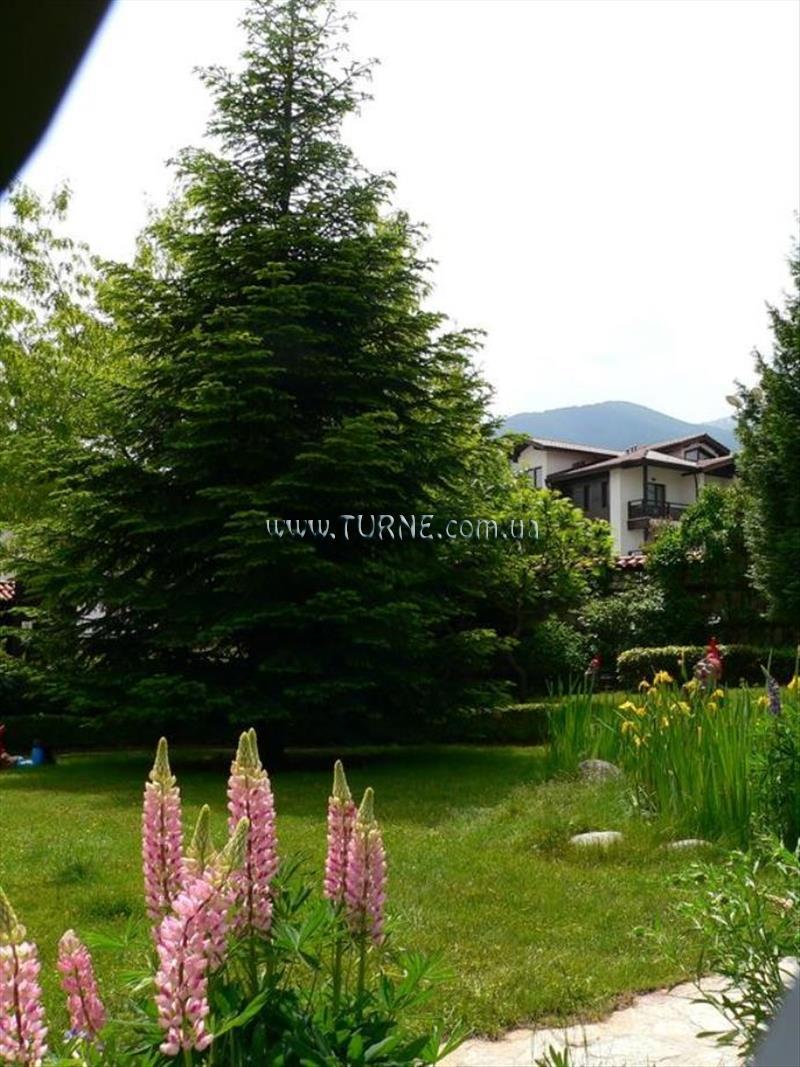 Картинка Tanne 4*