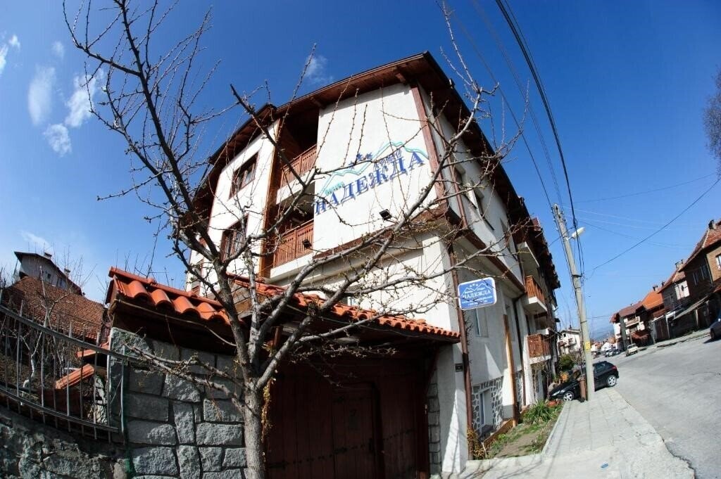 Отель Family Hotel Nadejda 3*