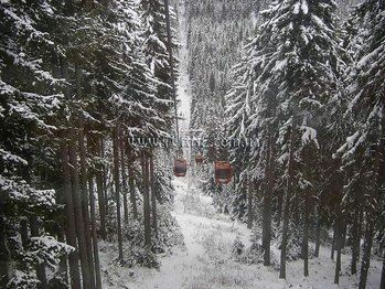 Отель Flora Residence (ex. Flora Borovets) 3*
