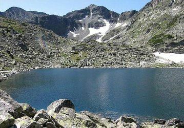 Отель Forest Star 2*