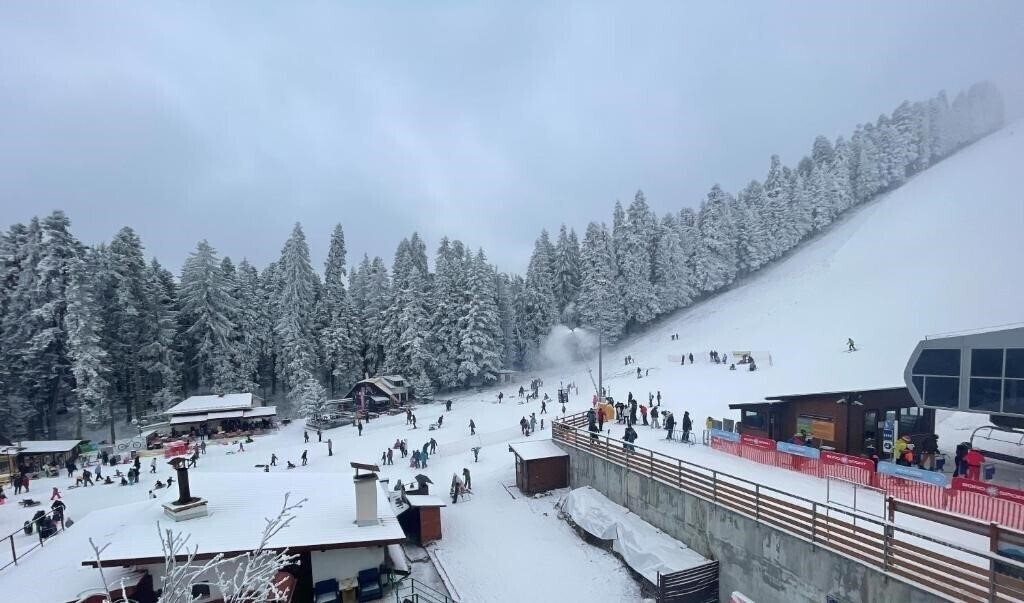 Gorska Zvezda 2* суреті