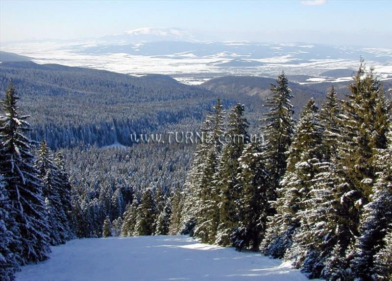 Sveti Georgi 4* фотосуреті