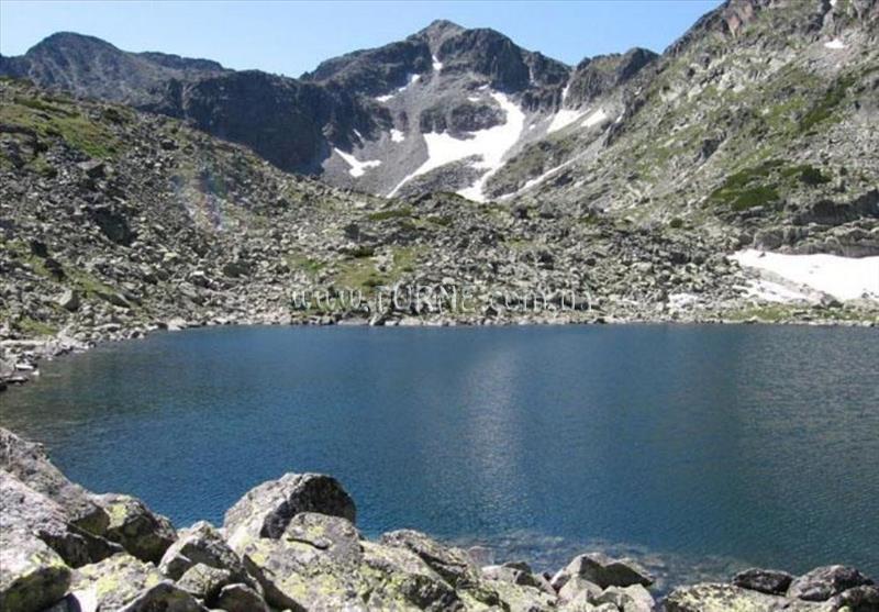 Фото Ледени Ангели 4*