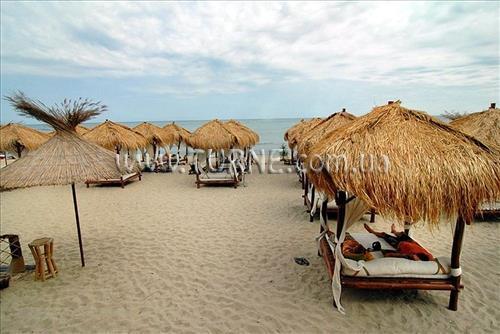 Attrium Beach 3* суреті