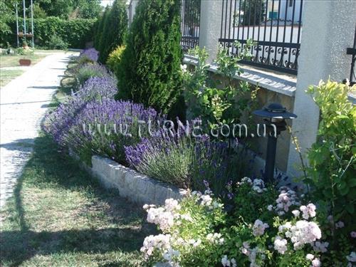 Villa Amfora вилла фотосуреті