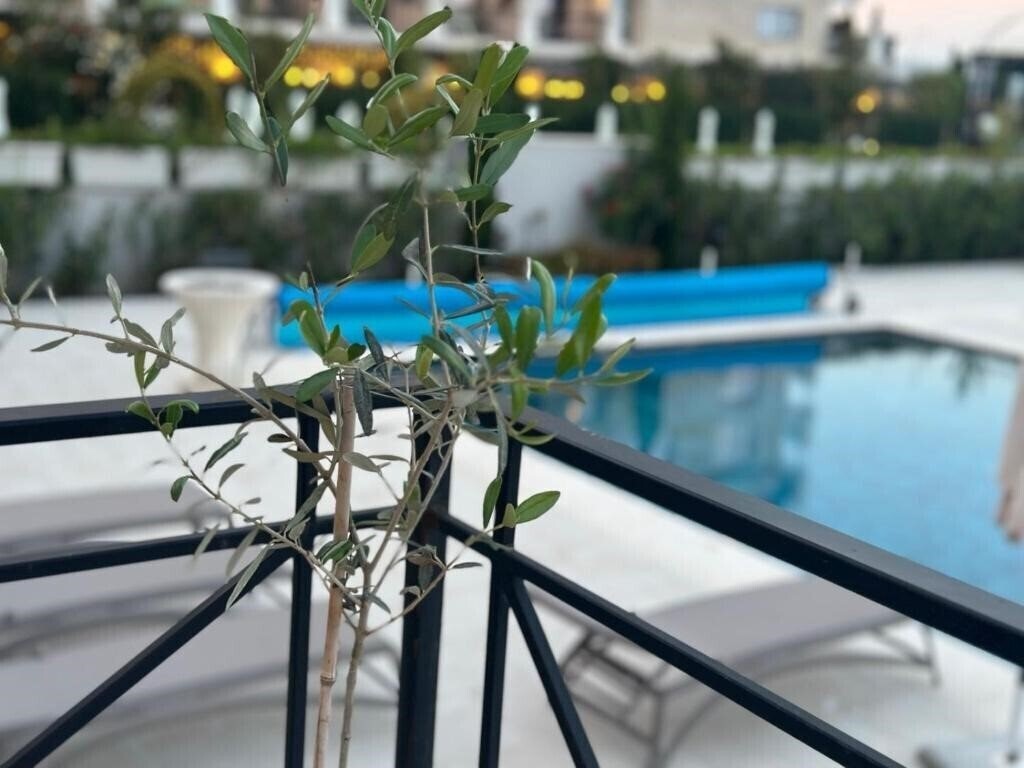 Фотография Aquamarine Hotel Kranevo (ex. Aquamarin Krn, Aquamarine Kranevo) 4*