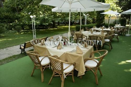 Изображение Oasis 3*