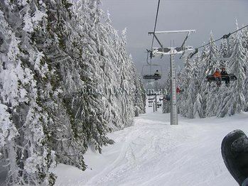 Elina Palace 4* суреті