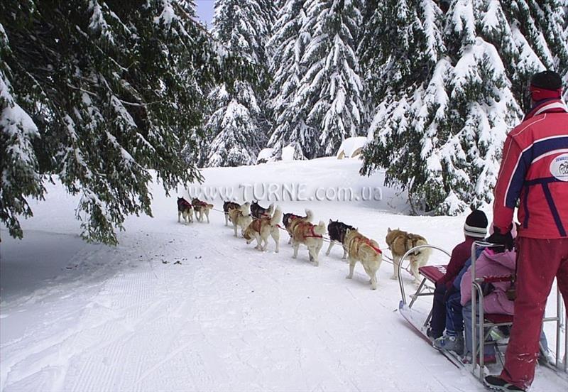 Изображение Royal Lodge 5*