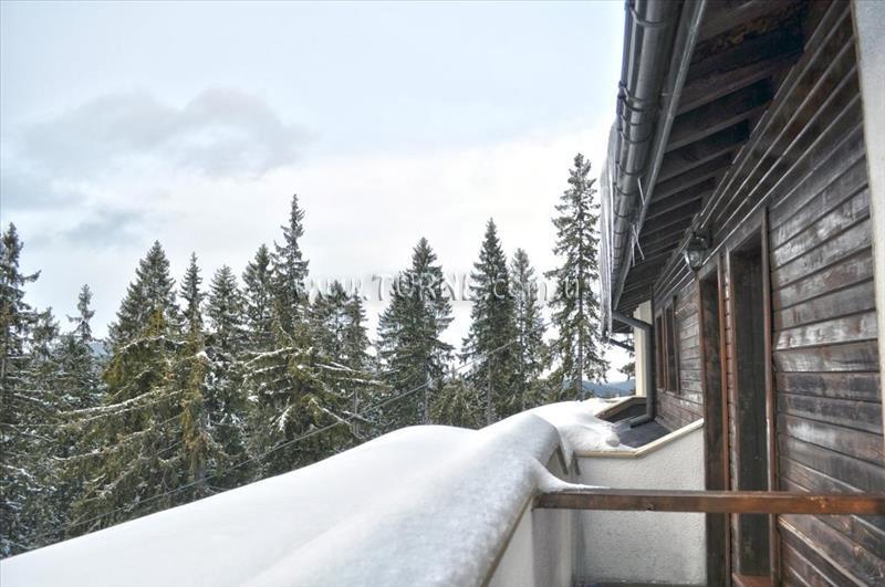 Евредика 3* суреті