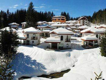 Forest Glade 3* суреті