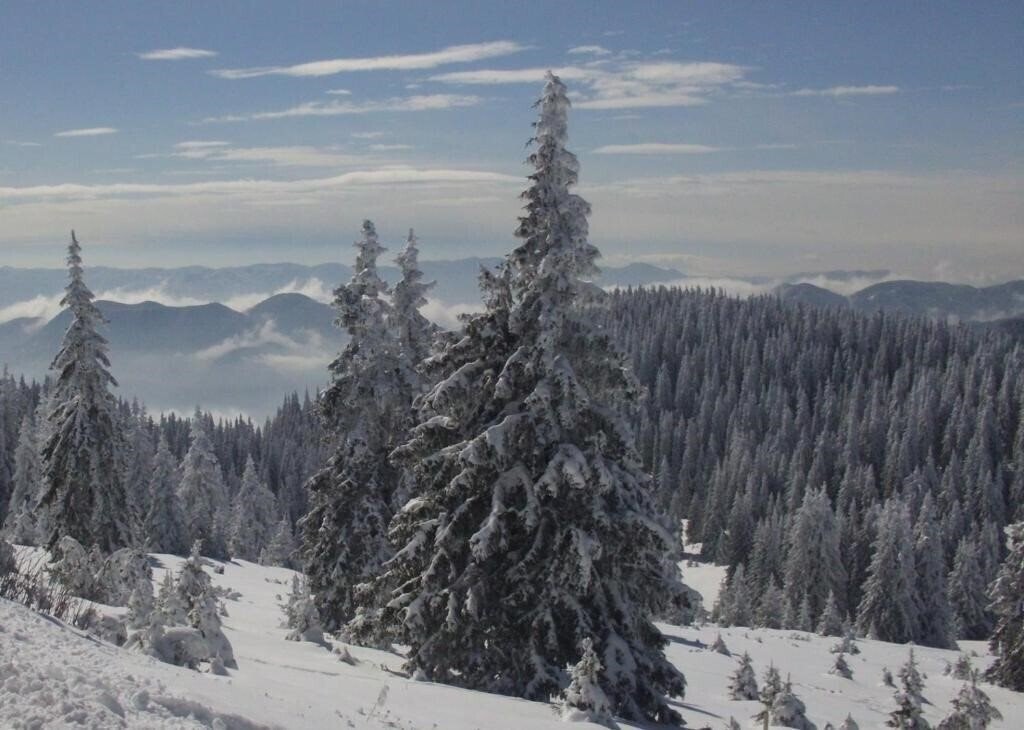 The Castle 3* суреті