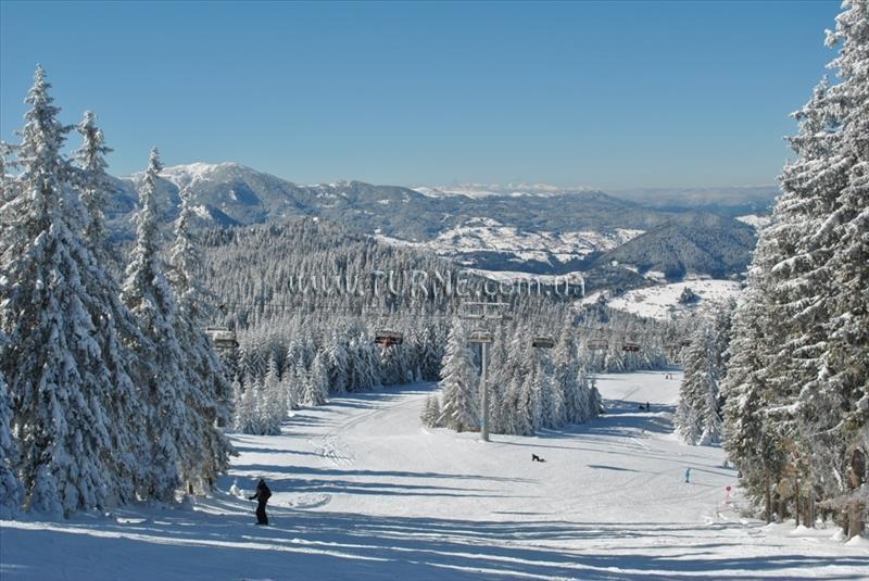 Orfey 2* фотосуреті