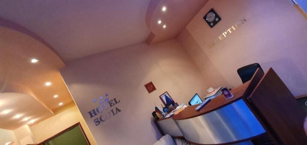 Отель Hotel Sofia 3*