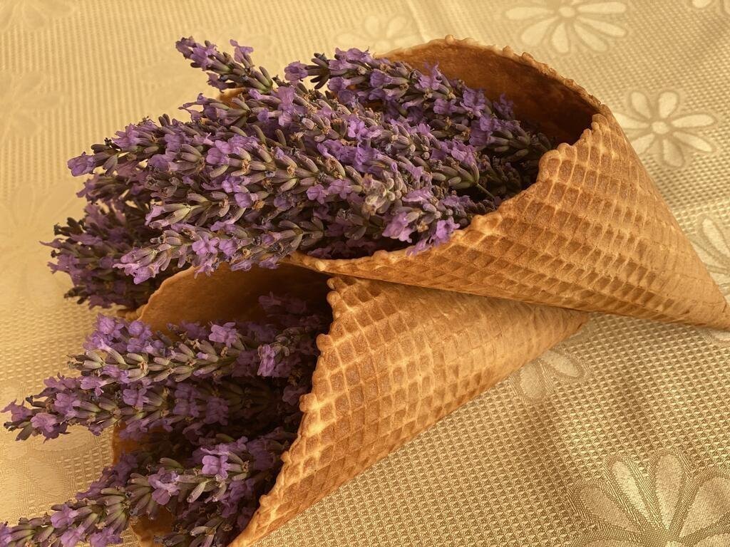 Plamena Palace 4* суреті