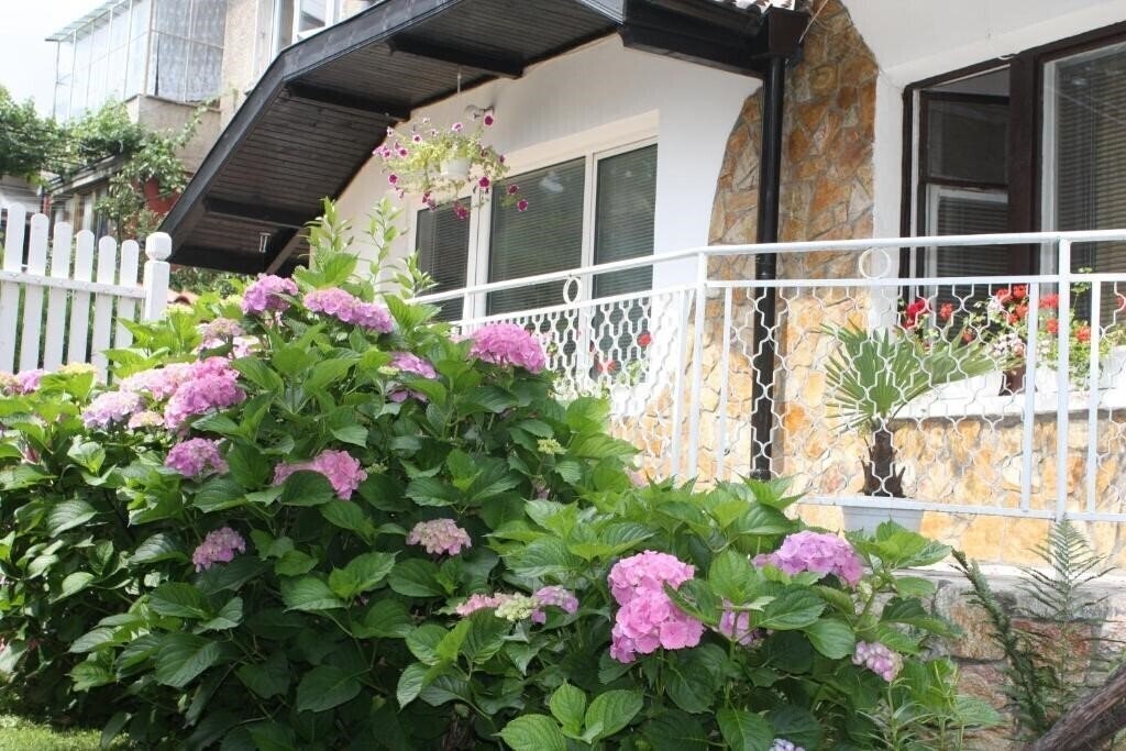 Andro Apartments 2* қонақ үйі