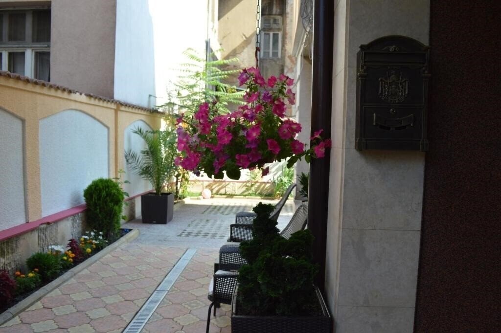 Отель Hotel Bon Bon 3*