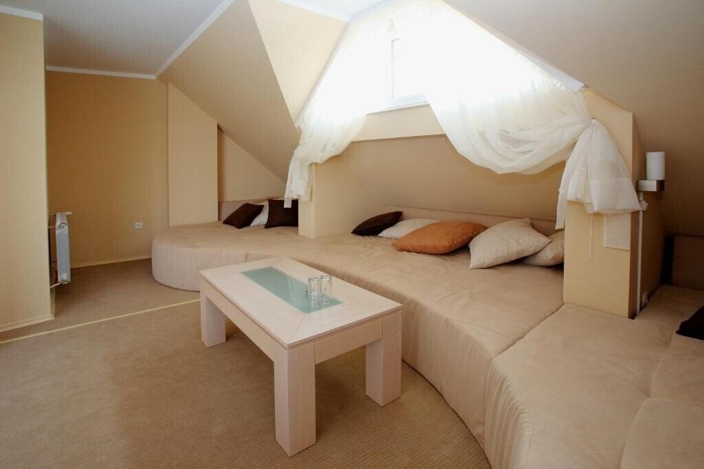 Family Hotel Diana 3* суреті