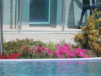 Blue Bay 3* суреті