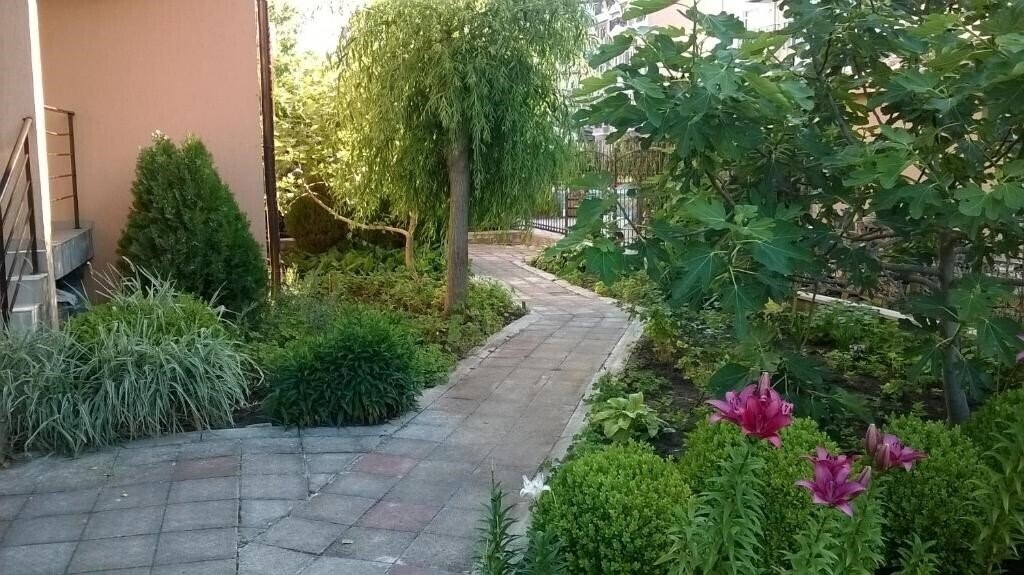 Hotel 415 3* фотосуреті