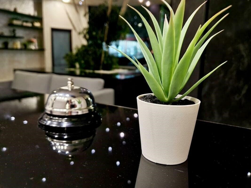 Juli 3* фотосуреті