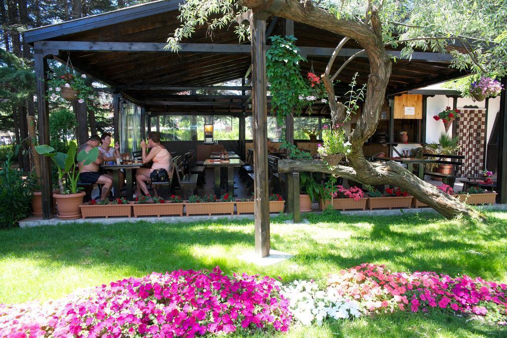 Изображение Dunav 4*