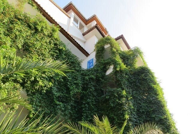 Фото Sofi Family Hotel 3*