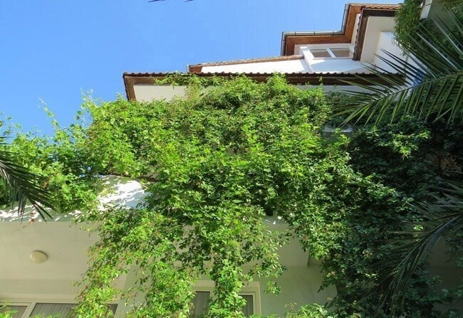 Sofi Family Hotel 3* фотосуреті