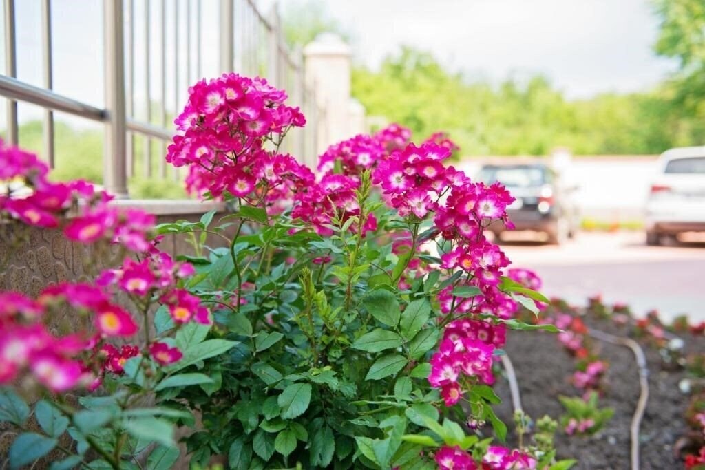 Фотография Adena Family Hotel 3*