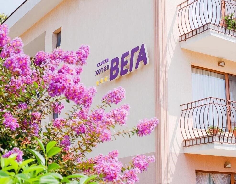 Фотография Vega 3*