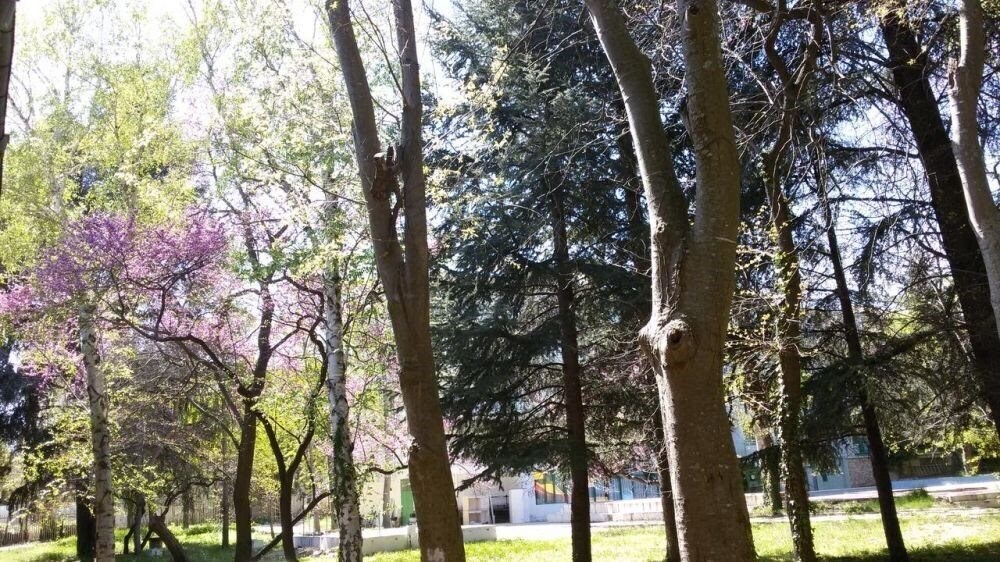 Картинка Rusalka St.Konstantin 2*