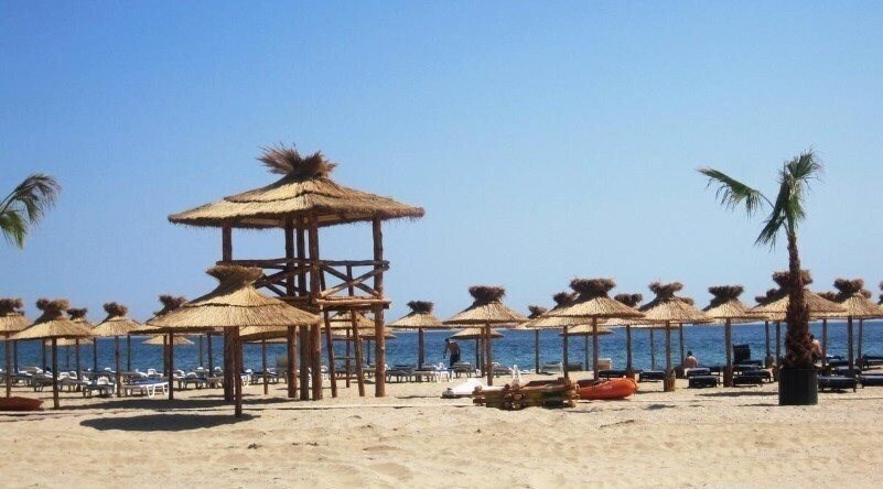 Картинка Amfora First Line 4*