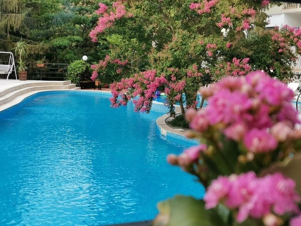 Отель Hotel Briz 3*
