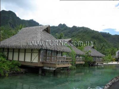 Intercontinental Resort and Spa 5* суреті