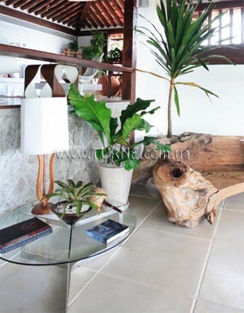 Insolito 3* суреті