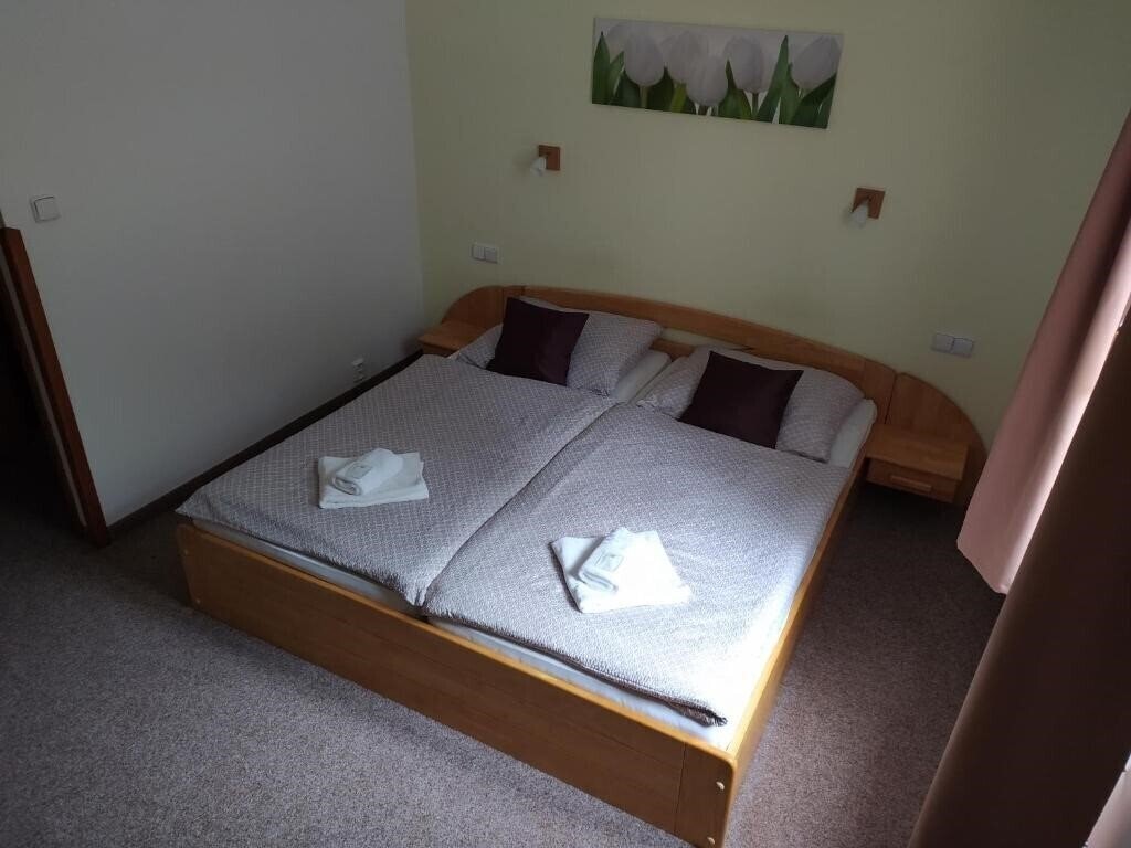 Penzion 33 3* суреті