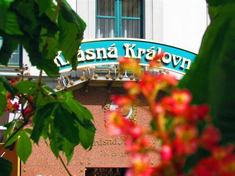 Krasna Kralovna 4* суреті