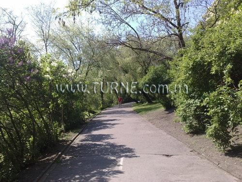 U Tri Korunek 3* суреті