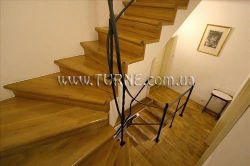 Отель Cerveny Lev 4*