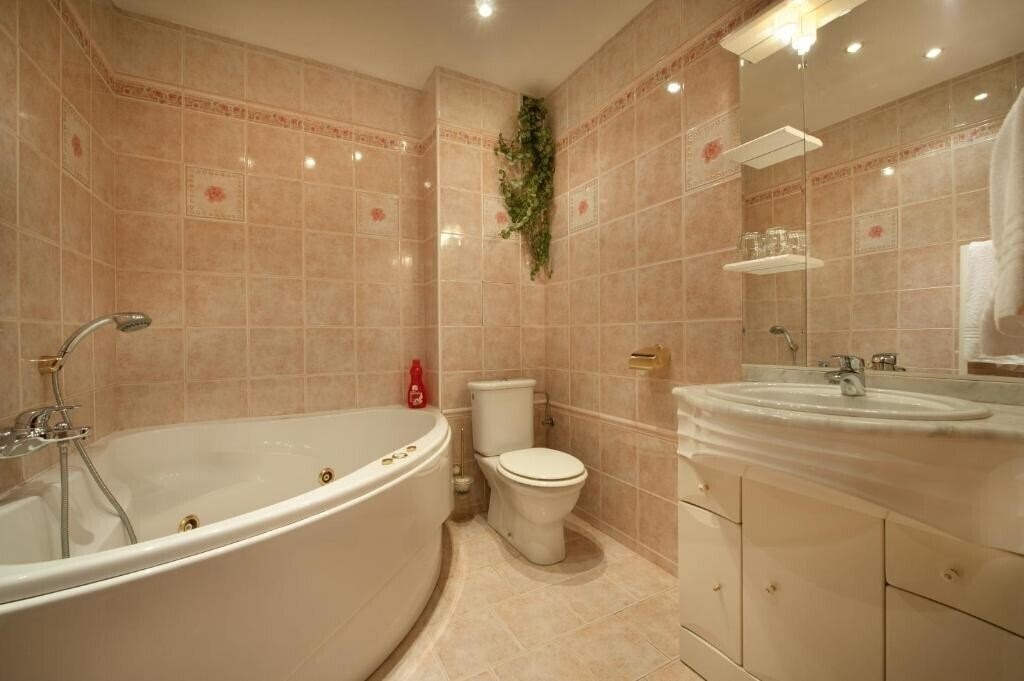 Henrietta 3* суреті