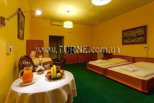 Отель Wellness & Treatment Hotel GHC 4*