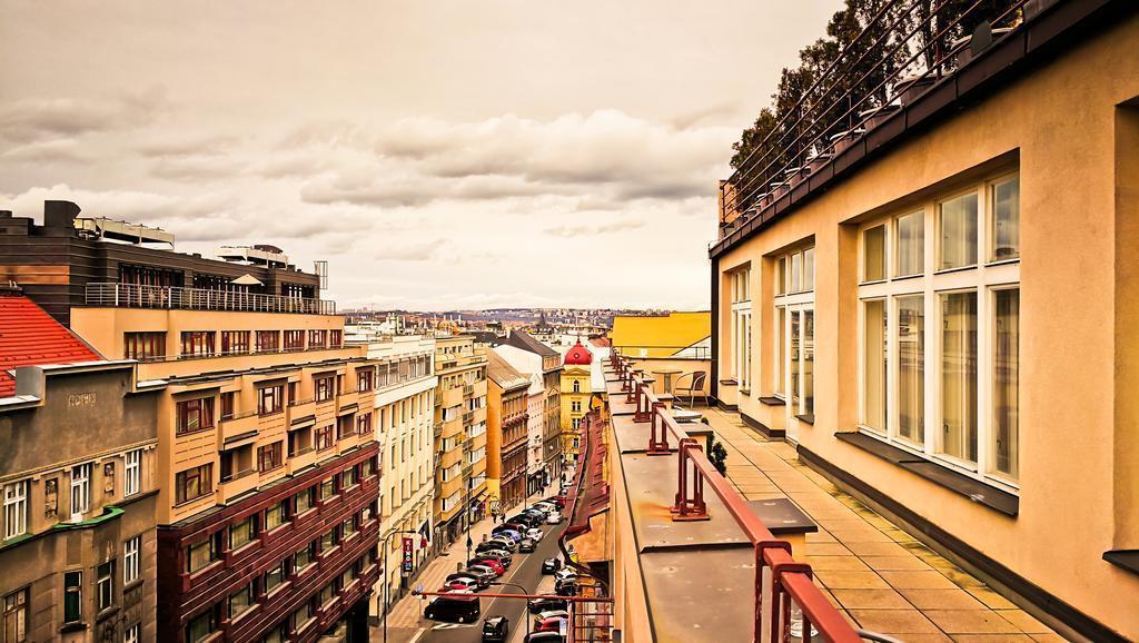 Amarilis 4* суреті