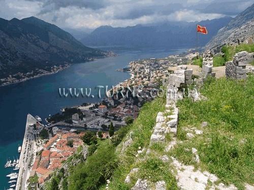 GuestHouse Exlusive 4* суреті