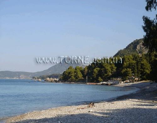 GuestHouse Exlusive 4* суреті