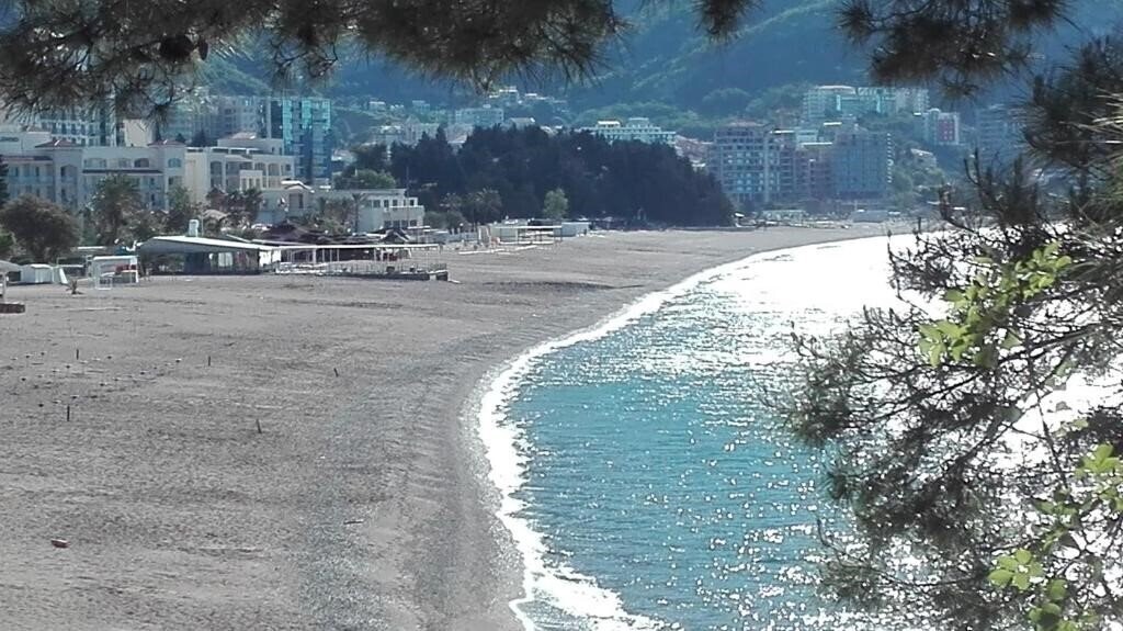 Petrovic App 3* суреті