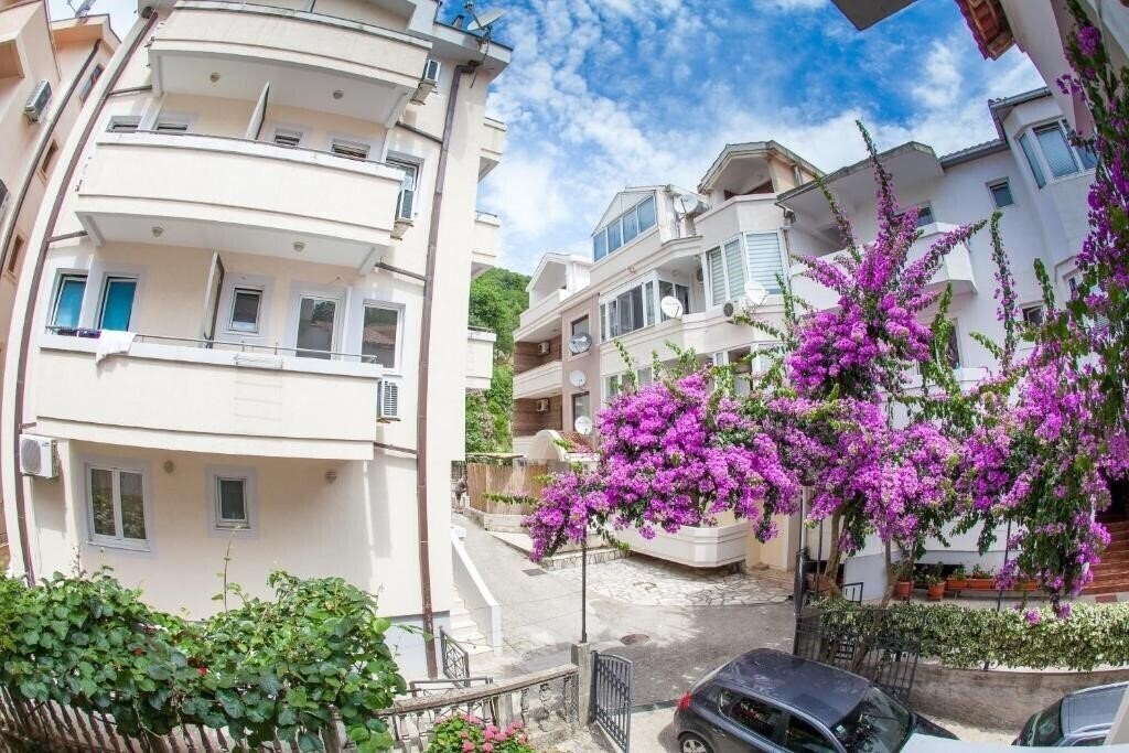 Guest House Violet 3* қонақ үйі