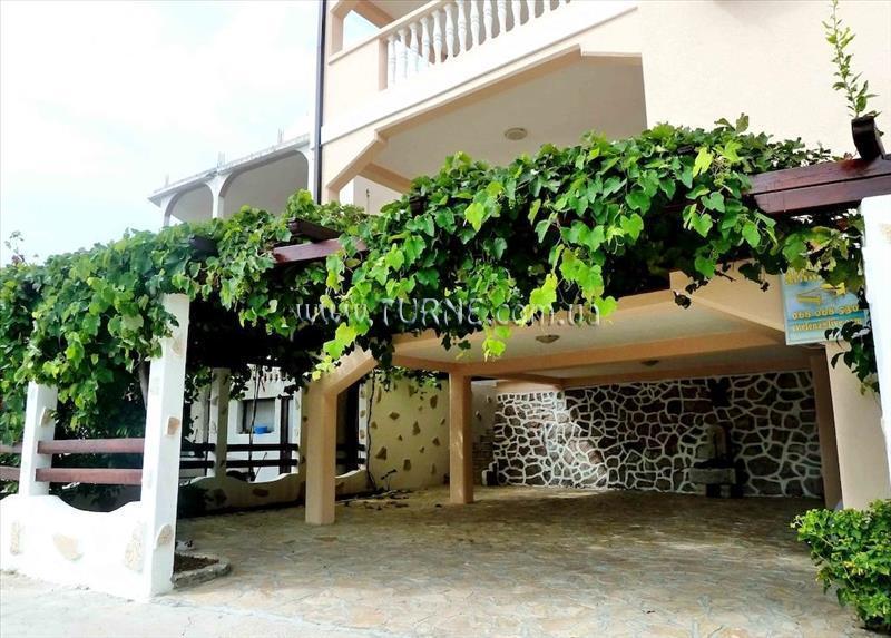 Papilon 3* суреті