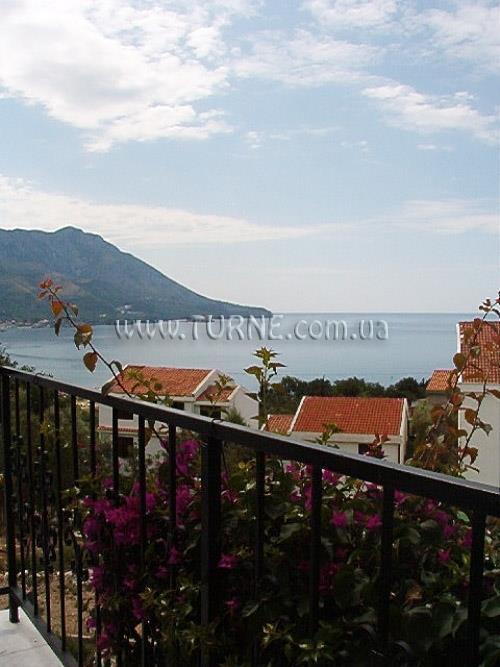 Villa More 2* суреті